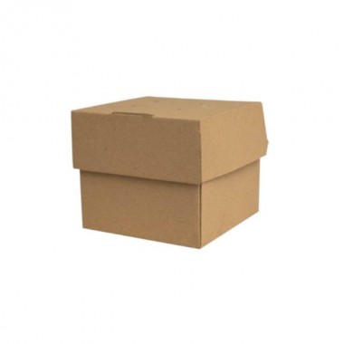 Gast. box karton 120/118/104 burger expolding