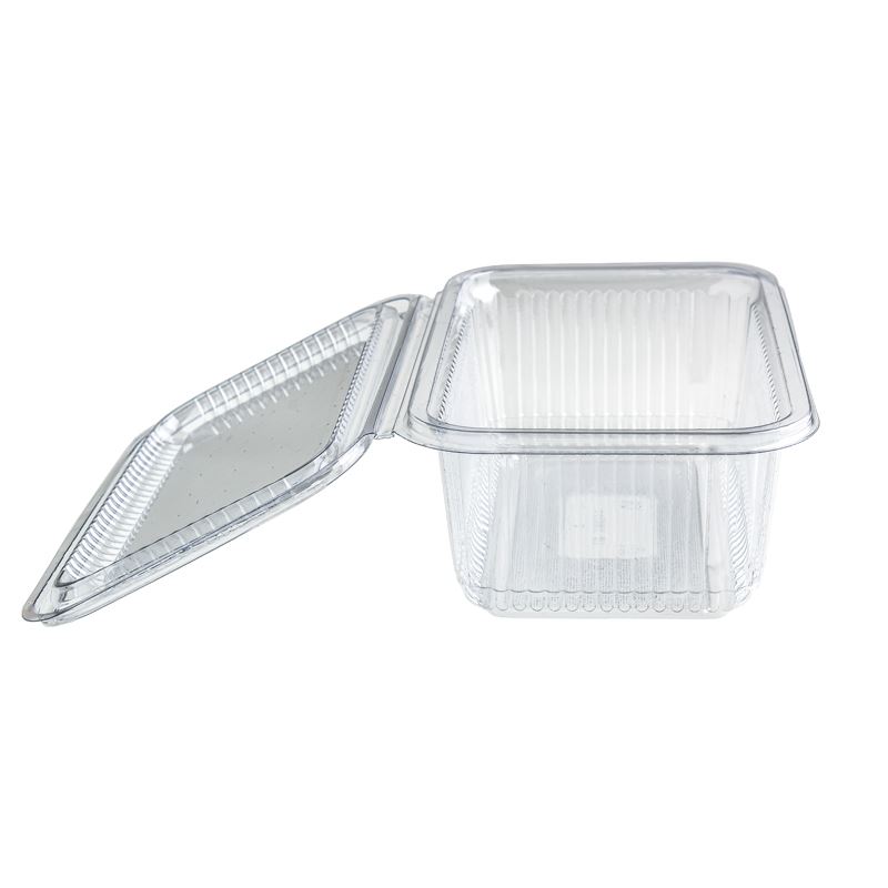 Pojemnik z przykrywką PET 1000ml HL1000 100szt