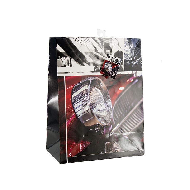 Torba prezentowa laminowana mała 10szt