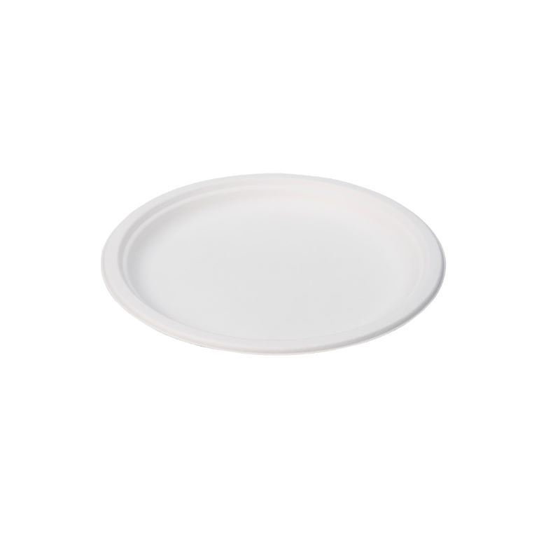Talerz z trzciny cukrowej 32x25cm biały 50szt